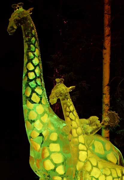 Animal Parade lit with colored lights at night. Detail of two giraffes. By Steve Brice, Heather Brown, Tjana Raukar, and Mario Amegee. Ice Alaska 2005.