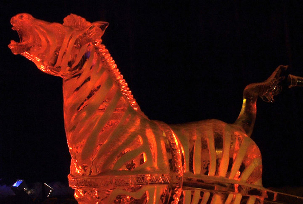 “Animal Parade” ice sculpture lit by colored lights at night. Detail of zebra. By Steve Brice, Heather Brown, Tjana Raukar, and Mario Amegee. Ice Alaska 2005