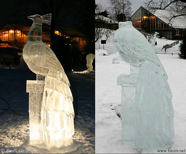 Melting ice sculpture of a peacock. Photo by Pasi Laaksonsen.